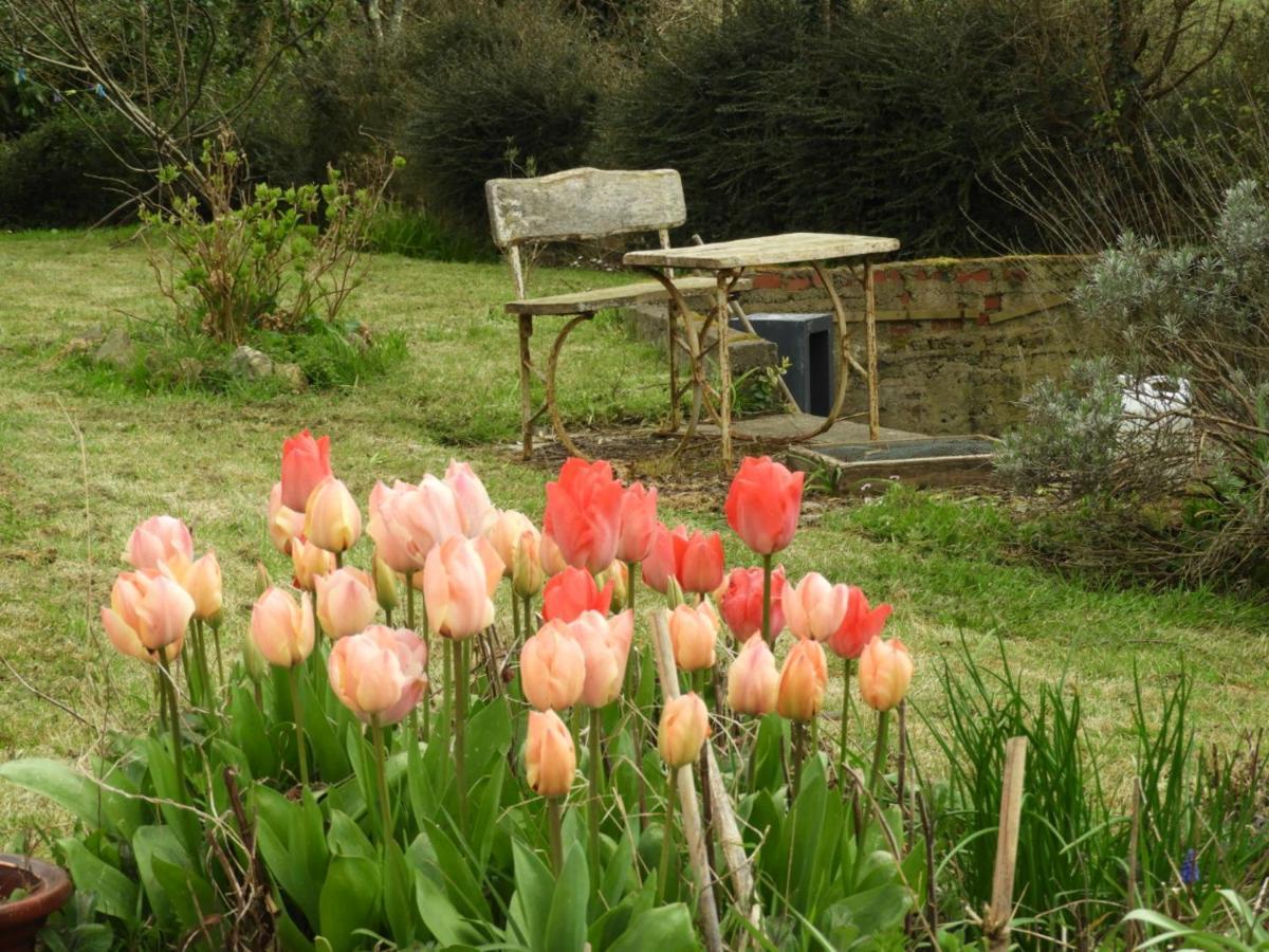 Au Domaine De Sophie Chambres D'Hotes Crasville  Екстер'єр фото